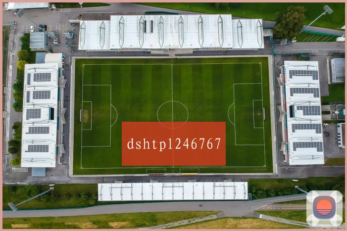 dshtpl246767