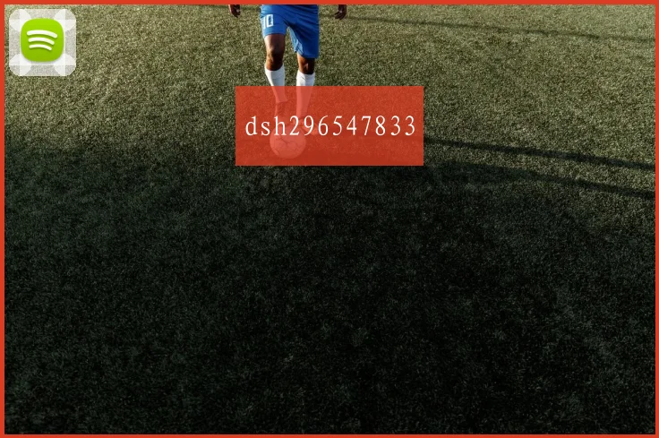 dsh296547833