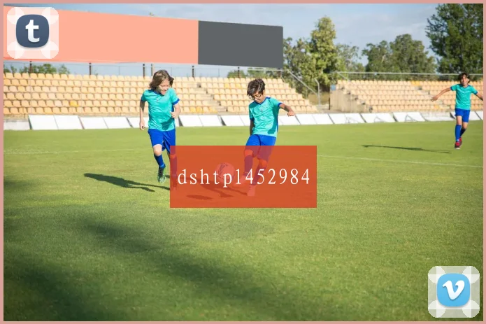 dshtpl452984