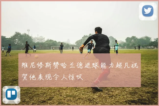 维尼修斯赞哈兰德进球能力超凡祝贺他表现令人惊叹