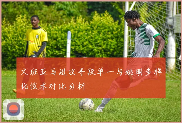 文班亚马进攻手段单一与姚明多样化技术对比分析