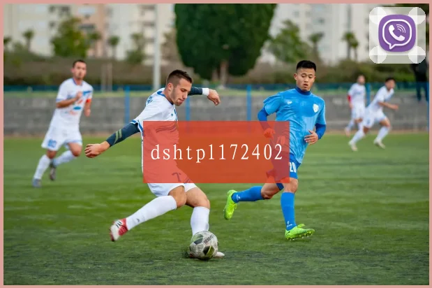 dshtpl172402